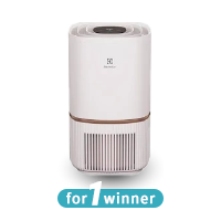 Electrolux 300 Air Purifier