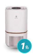 Electrolux 300空氣清淨機